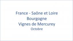 France  Sane et Loire Bourgogne Vignes de Mercurey  10/2020