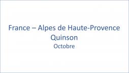 France  Alpes de Haute-Provence Quinson 10/2020
