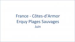 France - Ctes-d'Armor Erquy Plages Sauvages 06/2020