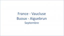 France - Vaucluse Buoux - Aiguebrun 09/2020