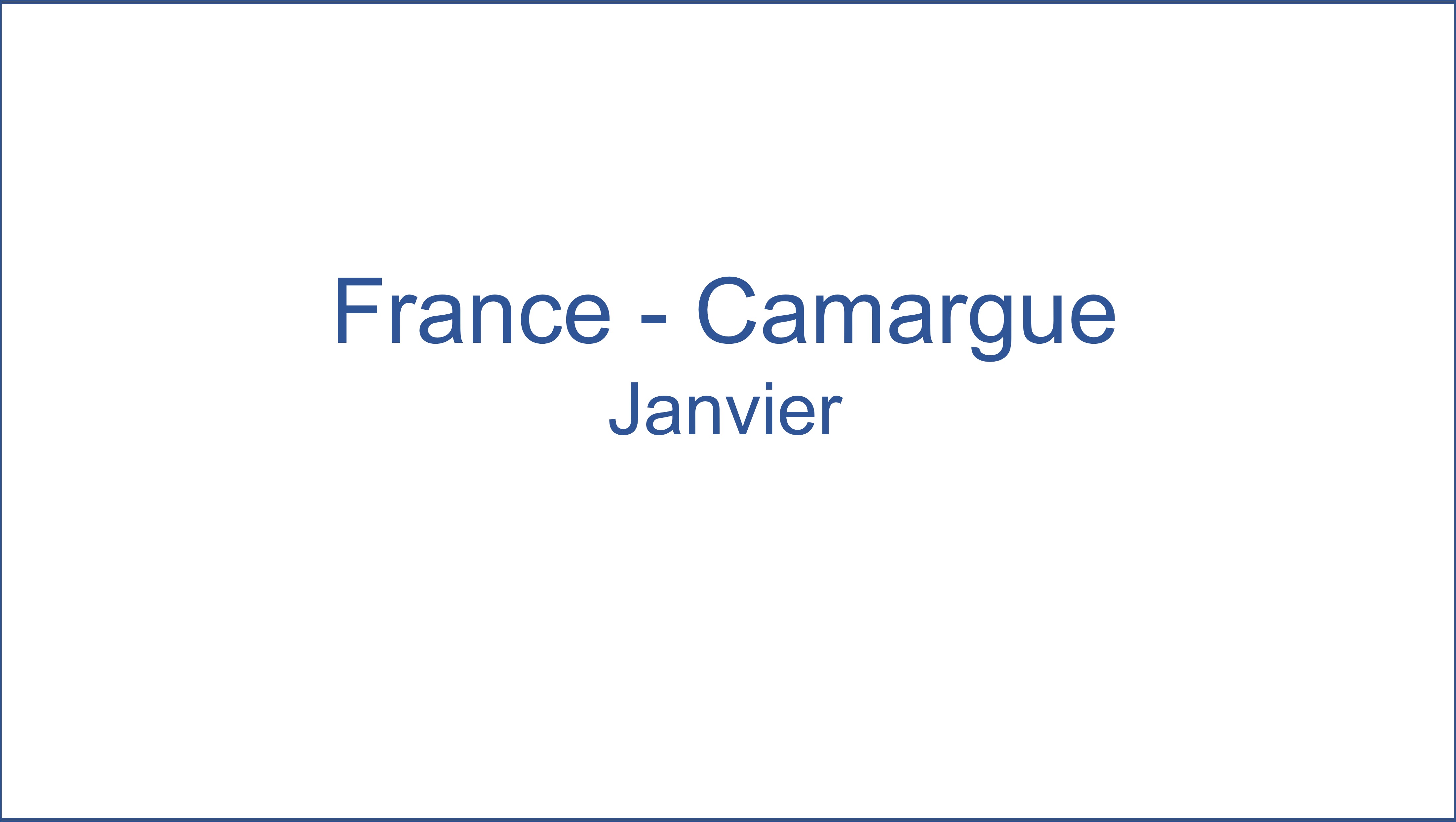 France  Camargue 01/2021